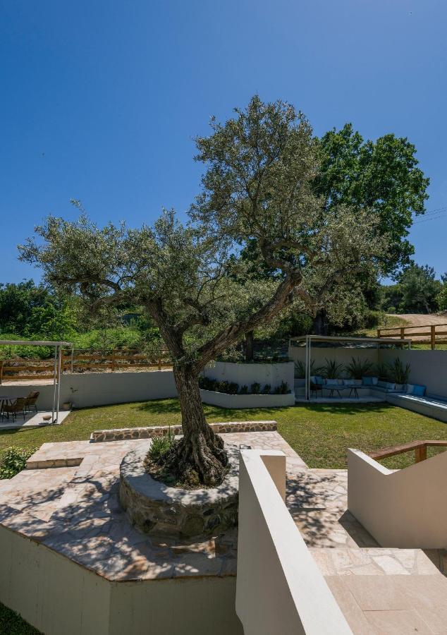 Dionysus Apartments & Suites Ierissós Exteriér fotografie