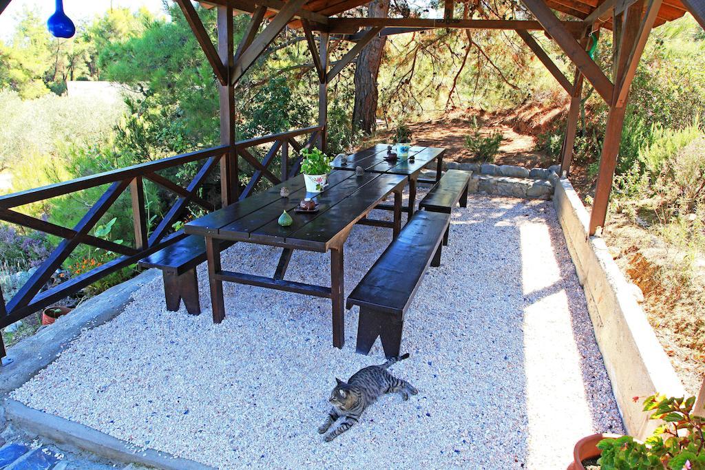 Dionysus Apartments & Suites Ierissós Exteriér fotografie
