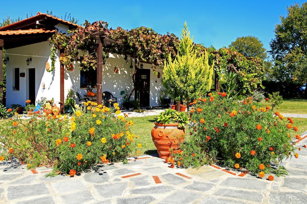 Dionysus Apartments & Suites Ierissós Exteriér fotografie